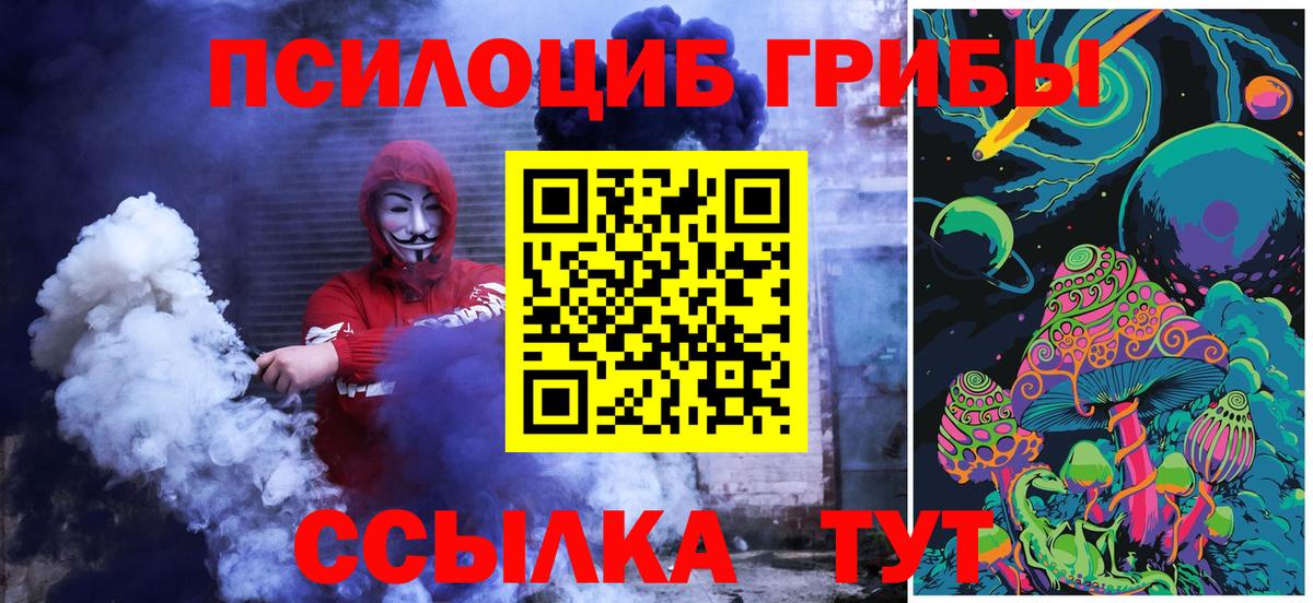 Галлюциногенные грибы MAGIC MUSHROOMS  Псилоцибиновые грибы мицелий  где можно купить   Вход с VPN  Кстово 