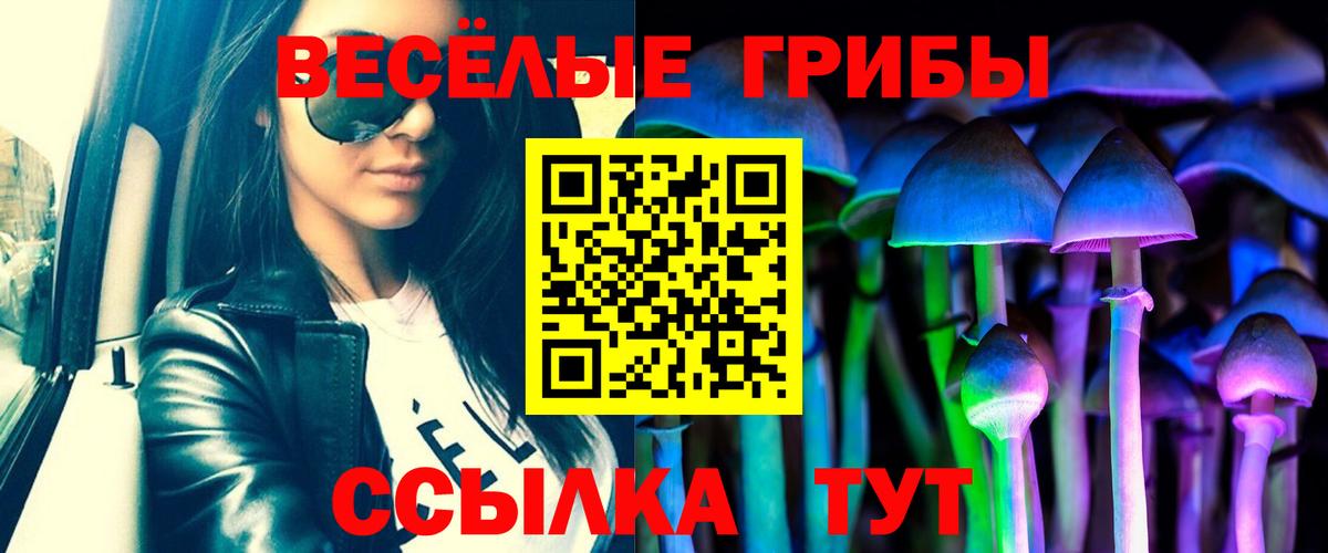 Галлюциногенные грибы ЛСД Кстово